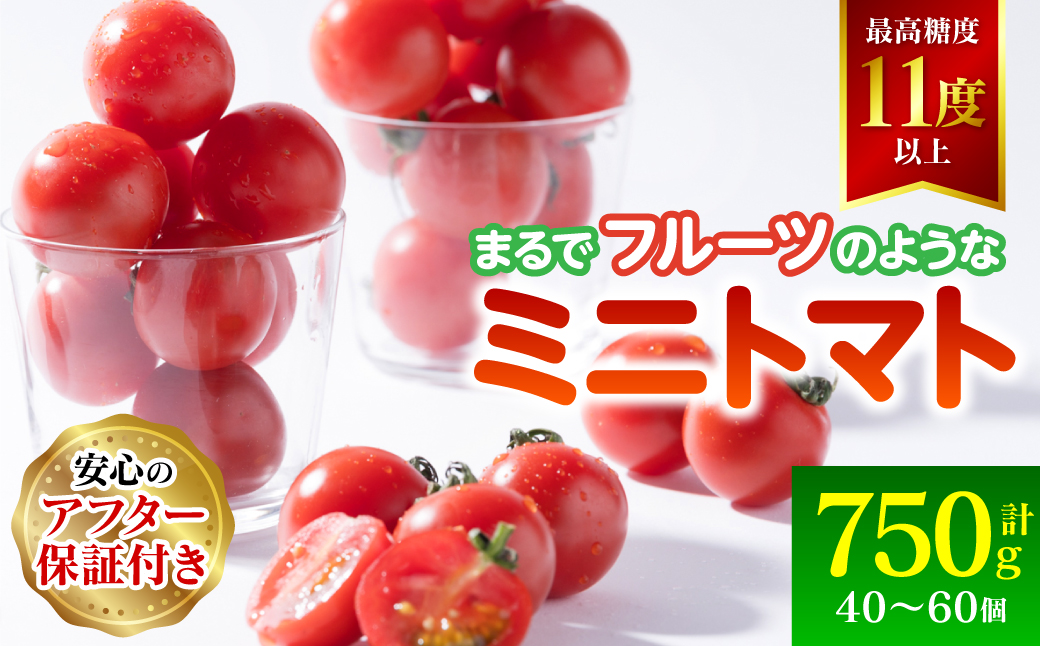 まるでフルーツの様なミニトマト 750g トマト 甘い 国産 野菜 やさい