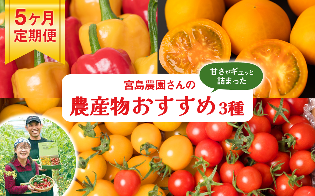 [先行予約][定期便5回]八代市産 農産物おすすめ定期便 宮島農園 トマト パプリカ 野菜[2024年12月上旬より順次発送]