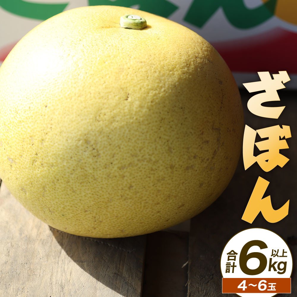 【先行予約】ざぼん 4〜6玉 合計 6kg 以上 柑橘 ザボン 青果