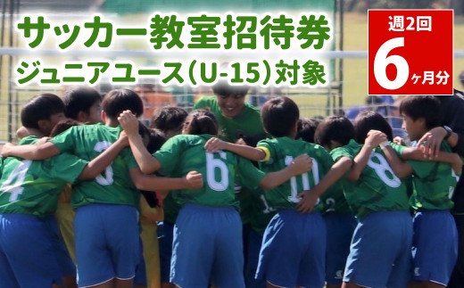 サッカー教室 招待券 ジュニアユースu15 週2回 6ヵ月分 中学生対象 ジュニアユース ふるラボ