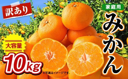 【2022年10月発送】【訳あり】熊本県産 みかん 10㎏ 果物 柑橘