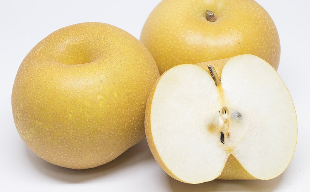 豊水梨 約5kg(9玉〜22玉) 梨 フルーツ 果物｜ふるラボ