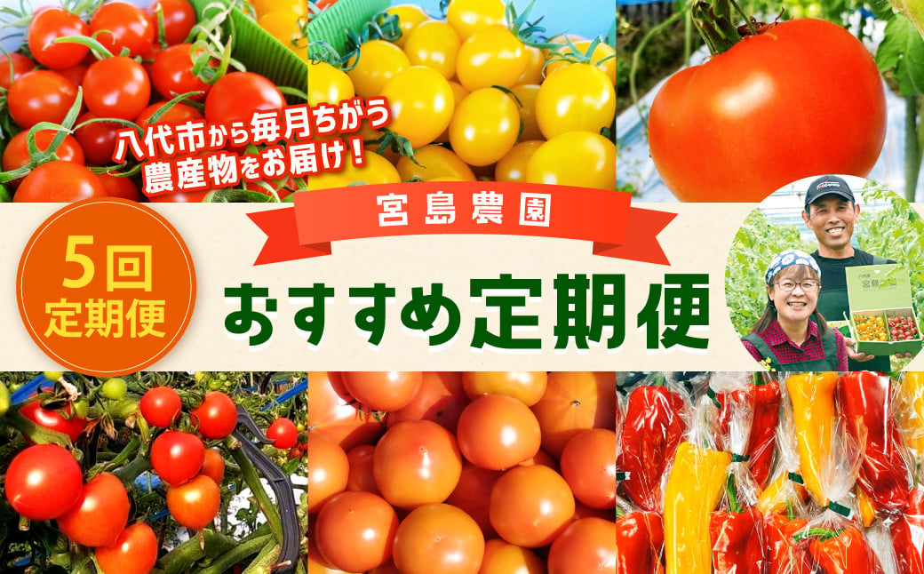 レンジでチン!紅はるかのアイスな焼き芋1kg_AA-F702｜ふるラボ