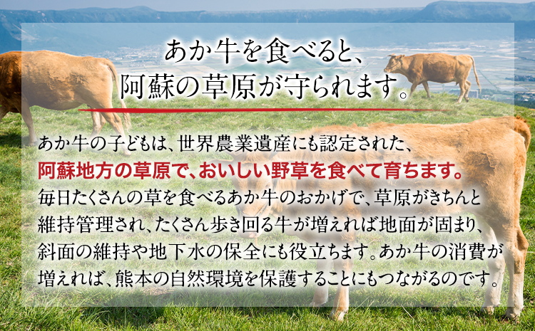 馬レバー刺し 250g 玉屋商店《30日以内に順次出荷 》熊本県 玉名郡 玉東町 土日祝除く