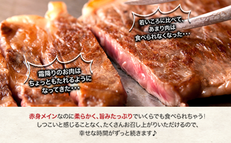 馬レバー刺し 250g 玉屋商店《30日以内に順次出荷 》熊本県 玉名郡 玉東町 土日祝除く