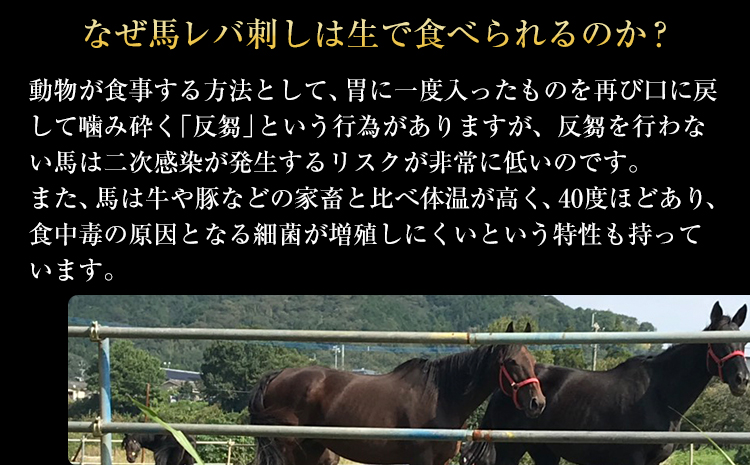 馬レバ刺し150g 50g×3《30日以内に順次出荷(土日祝除く)》レバー 冷凍 熊本肥育 肉 絶品 牛肉よりヘルシー 馬肉 小分け｜ふるラボ