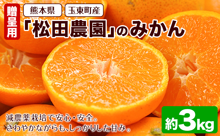 『松田農園』のみかん たっぷり 約3kg(S-2Lサイズ) フルーツ 秋 旬 熊本県 玉名郡 玉東町 松田農園 手間暇かけたこだわりのミカン【日付指定不可】《11月上旬-12月下旬頃出荷》