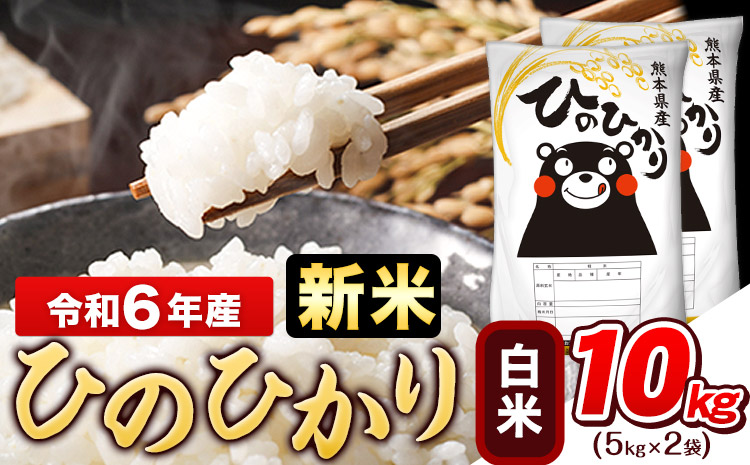 令和6年産 新米 早期先行予約受付中 ひのひかり 白米 10kg (5kg×2袋)《11月-12月頃出荷》熊本県産 ひの 白米 精米 米 こめ ヒノヒカリ コメ お米 おこめ