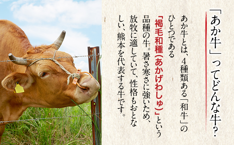 3ヶ月定期】熊本の和牛 あか牛ハンバーグ 150g×10個入り 玉屋商店《お