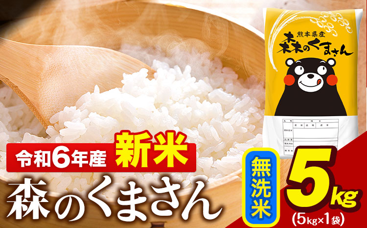 令和6年産  新米 無洗米  森のくまさん 5kg × 1袋  熊本県産 単一原料米 森くま《11月-12月より出荷予定》送料無料