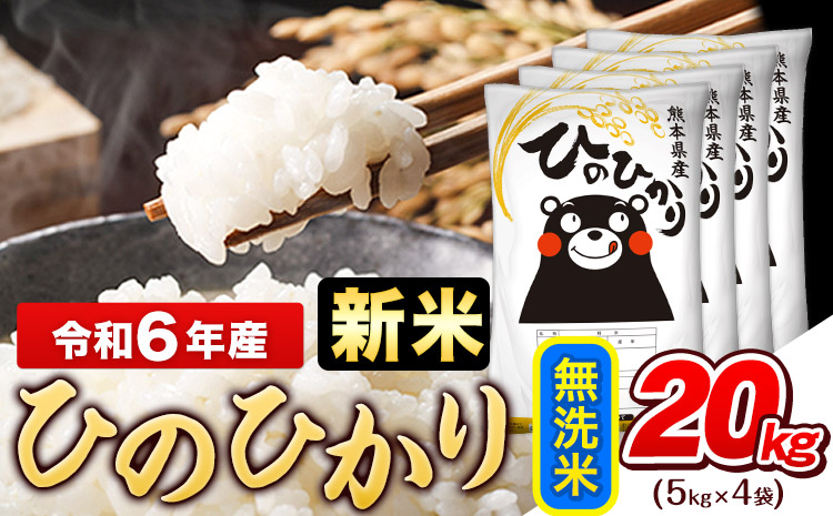 令和6年産 新米 早期先行予約受付中 ひのひかり 無洗米 20kg (5kg×4袋)《11月-12月頃出荷》熊本県産 ひの 米 こめ ヒノヒカリ コメ  お米 おこめ｜ふるラボ