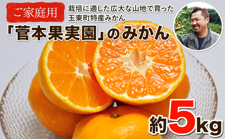 ご家庭用『菅本果実園』のご家庭用みかん★約5kg(2S-2Lサイズ) [11月下旬-12月末頃出荷] フルーツ 秋 旬★熊本県玉名郡玉東町 全国にファン多数!エコファーマー菅本さんのみかん♪『菅本果実園』ちょこっと訳あり