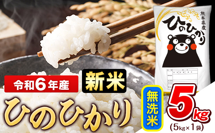 令和6年産 新米 早期先行予約受付中 ひのひかり 無洗米 5kg (5kg×1袋)[11月-12月頃出荷]熊本県産 ひの 米 こめ ヒノヒカリ コメ お米 おこめ