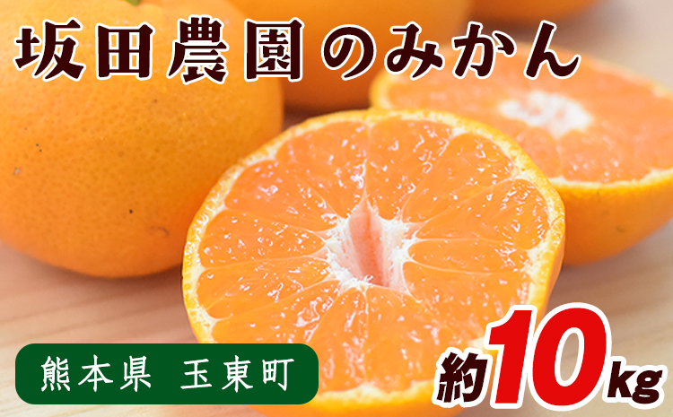 熊本県玉東町産限定『坂田農園』のみかん 大容量 約10kg(2S-Lサイズ) 予約受付中 フルーツ 秋 旬 ジャム ゼリー 玉東町70年のベテラン！濃厚な食味とジューシーな果汁 熊本県玉東町《10月上旬-1月末頃出荷》