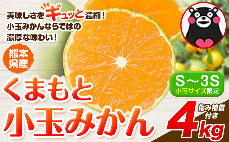 訳あり みかん 小玉みかん くまもと小玉みかん 4kg 秋 旬 不揃い 傷 ご家庭用 SDGs 小玉 たっぷり 熊本県 産 S-3Sサイズ フルーツ 旬 柑橘 熊本県産 温州みかん[7-14日以内に出荷予定(土日祝除く)]