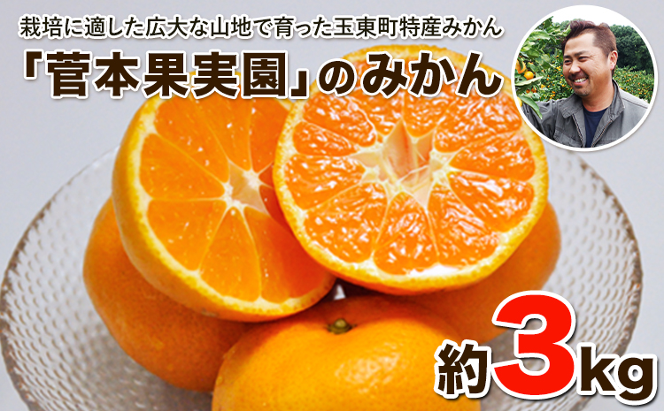 『菅本果実園』のみかん★約3kg(2S-Lサイズ) [10月中旬-12月末頃出荷] フルーツ 秋 旬★熊本県玉名郡玉東町 全国にファン多数!エコファーマー菅本さんのみかん『菅本果実園』