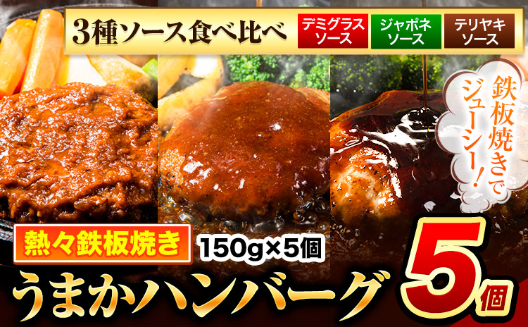 ハンバーグ 5個 国産のお肉使用！ 鶏肉不使用 温めるだけ 「通の贅沢ハンバーグ」3種ソース食べ比べ《7-14日以内に出荷予定(土日祝除く)》 牛 訳あり 小分け 早く届く