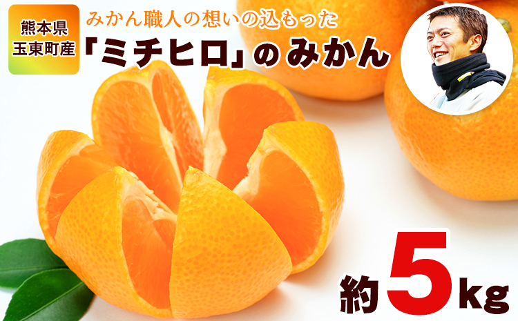 ぎょくだん『ミチヒロ』のみかん 約5kg(サイズおまかせ) [10月下旬-1月下旬頃出荷] 予約受付中 フルーツ 秋 旬 熊本県玉名郡玉東町『熊本・玉東、玉東町段々畑男子団。』みかん ぷらっとぎょくとう