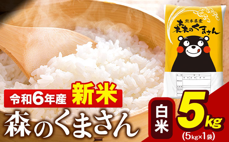 令和6年産 新米  森のくまさん 5kg × 1袋  白米 熊本県産 単一原料米 森くま《11月-12月より出荷予定》送料無料