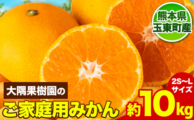 『大隅果樹園』のご家庭用みかん 約10kg(2S~Lサイズ) 大隅果樹園《10月下旬-12月下旬頃出荷》熊本県 玉名郡 玉東町 みかん 柑橘 フルーツ 果物 ご家庭用 訳あり