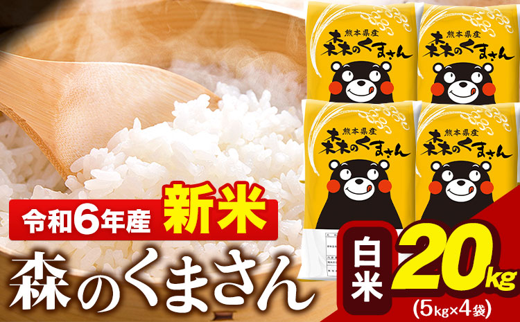 令和6年産 新米  森のくまさん 20kg 5kg × 4袋  白米 熊本県産 単一原料米 森くま《11月-12月より出荷予定》送料無料