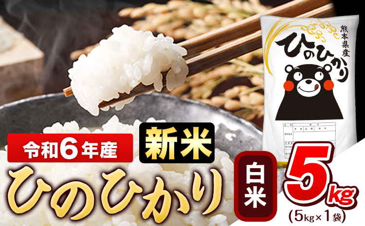 令和6年産 新米 早期先行予約受付中 ひのひかり 白米 5kg (5kg×1袋)[11月-12月頃出荷]熊本県産 ひの 白米 精米 米 こめ ヒノヒカリ コメ お米 おこめ