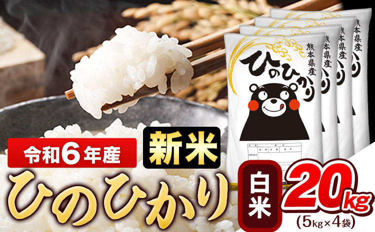 令和6年産 新米 早期先行予約受付中 ひのひかり 白米 20kg (5kg×4袋)《11月-12月頃出荷》熊本県産 ひの 白米 精米 米 こめ  ヒノヒカリ コメ お米 おこめ｜ふるラボ