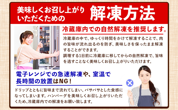 ステーキマニア監修 熊本県産あか牛100%生ハンバーグ 140g×13個入り 合計1820g 1.82kg以上《30日以内に順次出荷(土日祝を除く)》 熊本県産あか牛 バイキングベーカリー 冷凍｜ふるラボ