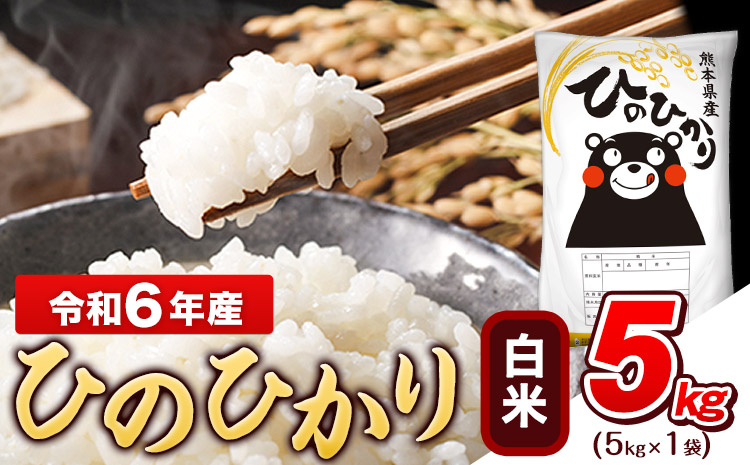 令和6年産 ひのひかり 白米 5kg (5kg×1袋)《7-14営業日以内に出荷予定(土日祝除く)》熊本県産 ひの 白米 精米 米 こめ ヒノヒカリ コメ お米 おこめ