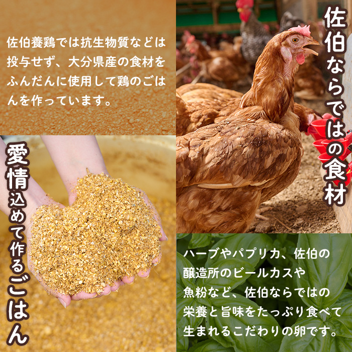 定期便・全6回＞産直・平飼い有精卵 (総計360個・60個×6回(2ヶ月おき発送)) 卵 玉子 卵かけご飯 玉子焼き 平飼い 鶏 鶏卵 養鶏場直送  朝採れ 新鮮 大分県 佐伯市 【HM09】【佐伯養鶏場】｜ふるラボ