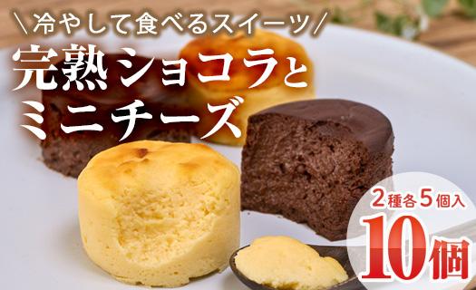 濃厚ショコラ・チーズケーキ (合計10個・2種×5個) チーズケーキ チーズ スイーツ 冷凍 お菓子 おやつ 焼き菓子 お取り寄せ 大分県 佐伯市【AJ75】【(有)ケーキ大使館クアンカ・ド−ネ】