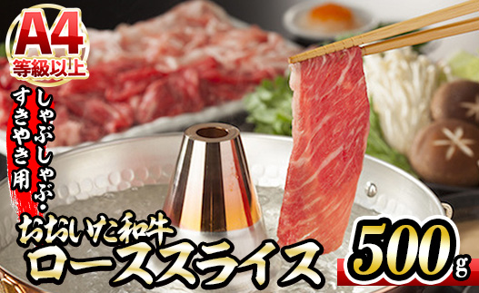 おおいた和牛 ローススライス (500g) 国産 牛肉 肉 霜降り 低温熟成 A4 和牛 ブランド牛 ロース すき焼き しゃぶしゃぶ 冷凍 大分県 佐伯市 【DH193】【(株)ネクサ】