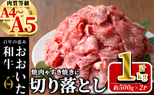 おおいた和牛 切り落とし (計1kg ・500g×2P) 国産 牛肉 肉 霜降り A4 A5 黒毛和牛 すき焼き しゃぶしゃぶ 焼肉 和牛 豊後牛 ブランド牛 冷凍[HE01][(株)吉野]