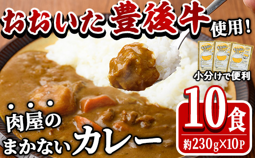 肉屋のまかない 豊後牛 カレー (計2.3kg・230g×10P) レトルト レトルトカレー 簡単調理 湯煎調理 ビーフカレー おおいた豊後牛 ご当地カレー 【HE07】【吉野】