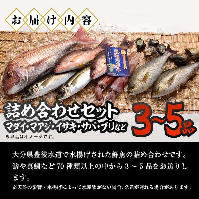 天然 鮮魚詰め合わせ (合計約2.8-3.2kg・3種以上) 直送 産直 漁師 魚