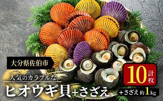 ヒオウギ貝(10枚)とサザエ(約1kg) 魚介 貝 ヒオウギ貝 ひおうぎ貝 サザエ さざえ 栄螺 酒蒸し 網焼き バター焼き バーベキュー 獲れたて 冷蔵 海の直売所 大分県 佐伯市【AS120】【海べ (株)】