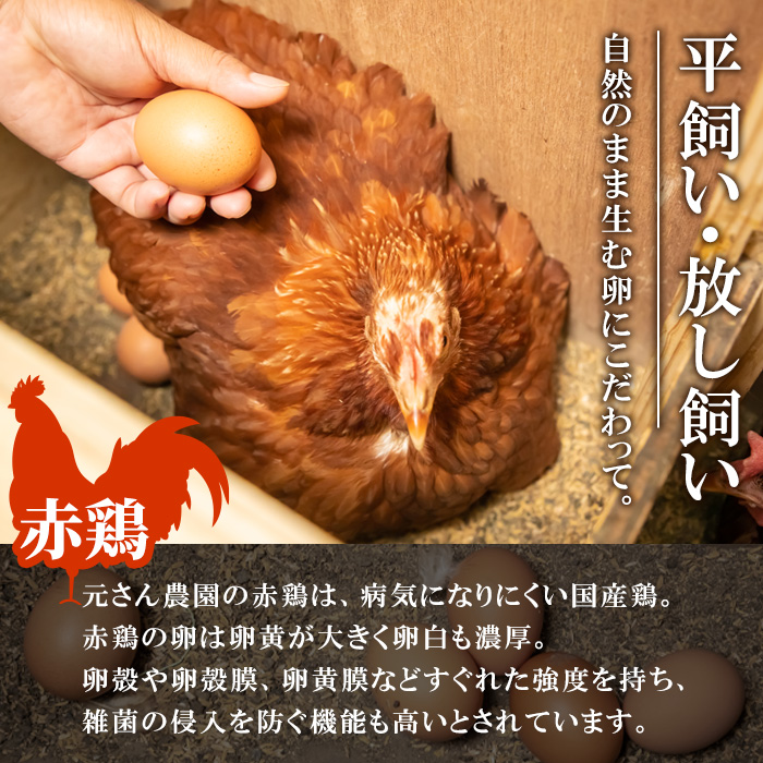平飼い純国産赤鶏平飼い卵 100個 常温便サイズS〜LL食用無精 - 野菜
