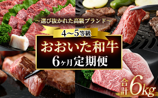 ＜定期便・全6回 (隔月)＞おおいた和牛 定期便 (総量6kg) しゃぶしゃぶ ステーキ 焼肉 すき焼き モモ サーロイン ソース付き ばら ロース ヒレ 小分け 国産 4等級 和牛 牛肉 大分県 佐伯市【DP70】【(株)まるひで】