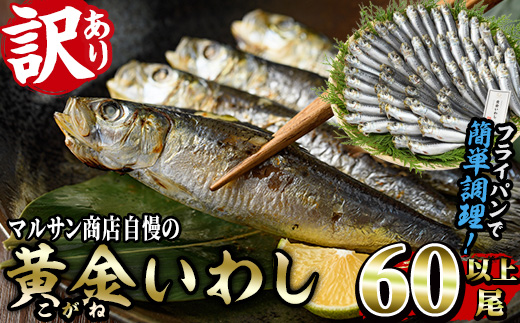 ＜訳あり＞黄金いわし (60尾以上) 黄金 いわし イワシ 丸干し 魚 海鮮 冷凍 おつまみ 小分け【GX002】【(有)マルサン商店】