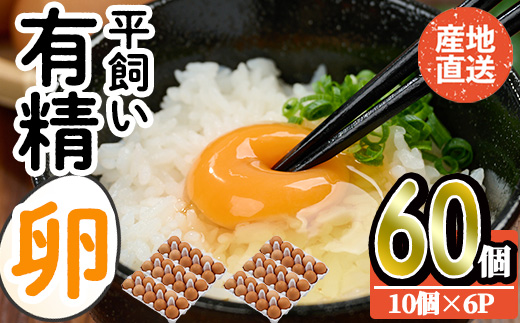 産直・平飼い有精卵 (計60個) 卵 玉子 卵かけご飯 玉子焼き 平飼い 鶏 鶏卵 養鶏場直送 朝採れ 新鮮 大分県 佐伯市  【HM02】【佐伯養鶏場】｜ふるラボ