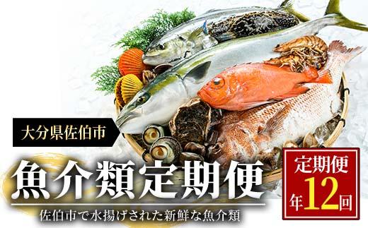 ＜定期便・全12回 (連続)＞魚介類定期便 (2-3人前×12ヶ月)魚 魚介 いか イカ たこ タコ 貝 海老 えび エビ 獲れたて 冷蔵 海の直売所 大分県 佐伯市【AS63】【海べ (株)】