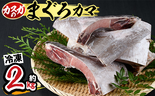 マグロのカマ (計約2kg・400g×5P) 冷凍 マグロ メバチマグロ キハダマグロ カマ 塩焼き 酒蒸し 煮つけ バーベキュー 魚 海鮮 小分け 大分県 佐伯市【DH185】【(株)ネクサ】