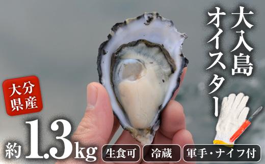 真ガキ 大入島オイスター (約1.3kg) 牡蠣 カキ 貝 海鮮 魚介類 冷蔵 生食可 シングルシード 養殖 大分県 佐伯市【ED08】【(合)新栄丸】