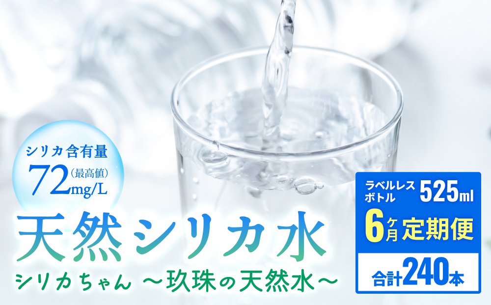 【数量限定】【6ヶ月定期便】天然 水 シリカ 525ml × 40本 ＜シリカちゃん〜玖珠の天然水〜＞ ラベルレス 天然シリカ 水 シリカ水 ミネラルウォーター 国産 保存可能 水 防災 備蓄