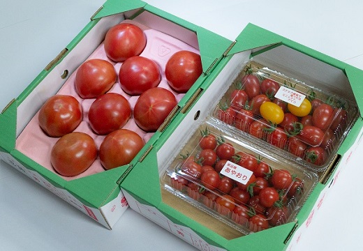 大分県玖珠町トマトファームのトマト３種セット