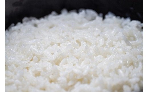 自慢の玖珠米「 ひとめぼれ 」 5kg / 米 お米 白米 令和５年産 精米