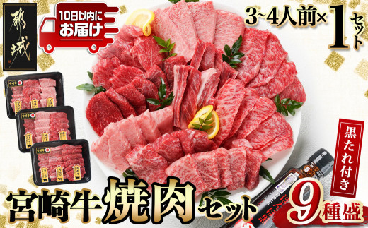 [数量限定]宮崎牛9種盛り焼肉セット≪みやこんじょ特急便≫