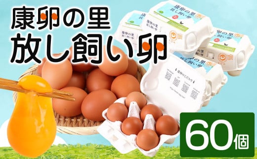 卵 鶏卵 康卵の里「放し飼い卵」 卵60個 宮崎県えびの市産 九州産 国産 玉子 タマゴ 卵 生卵 鶏卵 たまご 玉子焼き 卵焼き ゆで卵 ゆでたまご エッグ TKG 卵かけご飯 たまごかけごはん つまめる 破損保証5個含む 送料無料