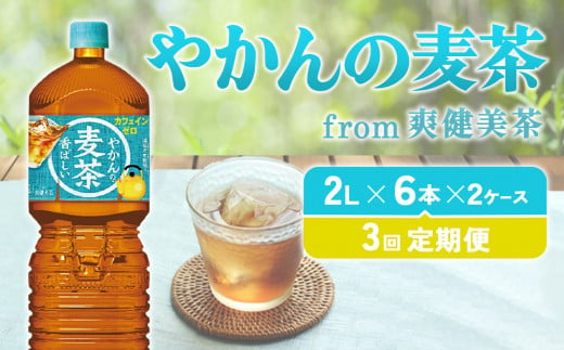 [3回定期便] やかんの麦茶 from 爽健美茶 PET (2L×6本)×2ケース[コカコーラ]麦茶 お茶 ノンカフェイン 水分補給 こども 美容 むくみ