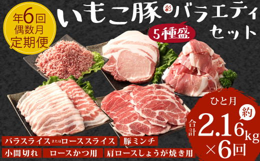 [訳あり]豚肉[定期便年6回/偶数月発送]いもこ豚(彩) 5種盛り バラエティセット 2.16kg バラスライス バラ 小間切れ 細切れ こま切れ ロース 肩ロース しゃぶしゃぶ スライス 豚ミンチ 豚肉 いもこ豚 セット 詰合せ 生姜焼き 焼肉 サムギョプサル ポッサム 豚丼 とんかつ 鉄板 ホットプレート パーティー 冷凍 宮崎県産 九州産 送料無料